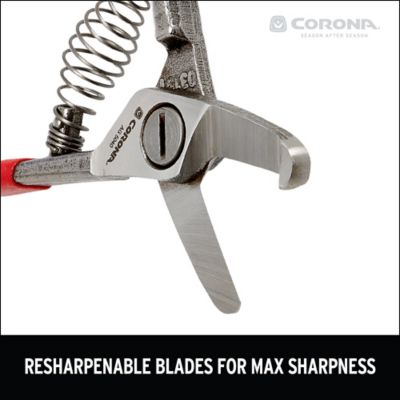 Image showing 5 th Corona Avocado Shears