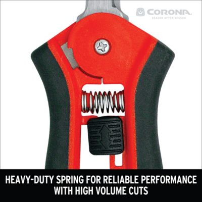 Image showing  Hydroponic Micro Snips