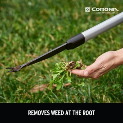 Image showing 7 th Corona 40 in. Extended Reach 2-Prong Weeder with ComfortGEL Grip