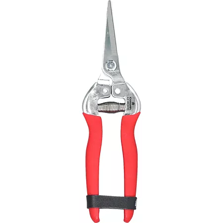 Large Corona Straight Shears Hedge Shears