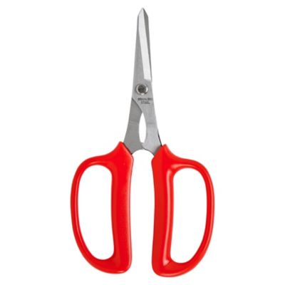 Image showing  Hydroponic Scissors