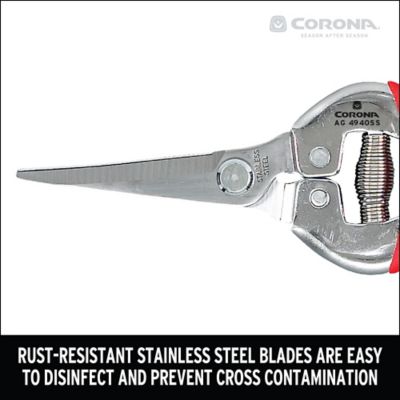 Image showing  Stainless Steel Long Curved Snips