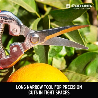 Image showing  Stainless Steel Long Curved Snips