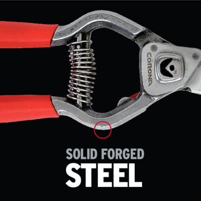 Image showing  ClassicCUT Branch and Stem Pruner