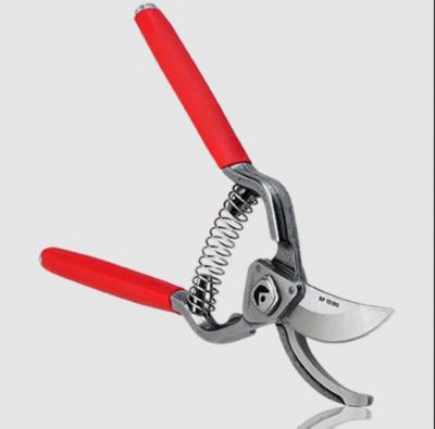Image showing 6 th Corona ClassicCUT Branch and Stem Pruner