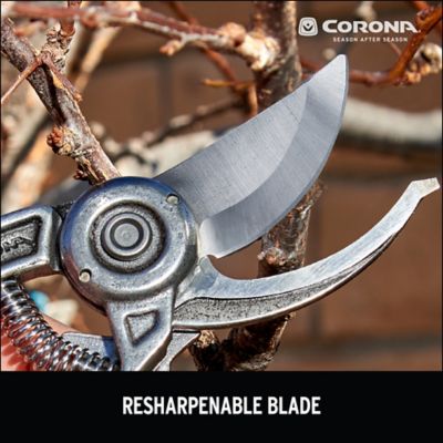 Image showing  Landscape-Irrigation Bypass Pruner