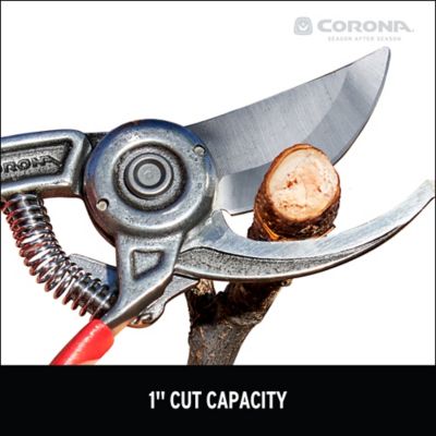 Image showing  Landscape-Irrigation Bypass Pruner