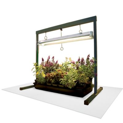 Image showing  GrowFloor Vinyl Greenhouse Growroom Flooring