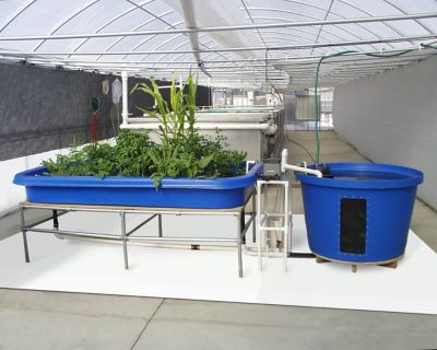 Image showing  GrowFloor Vinyl Greenhouse Growroom Flooring, 10 ft. x 61 ft.