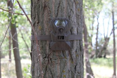 Image showing 5 th treeline 20 MP ZD Trail Camera Combo with 32GB SD Card, 8 AA Batteries and Spare Battery Tray