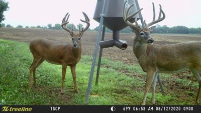 Image showing 6 th treeline 20 MP ZD Trail Camera Combo with 32GB SD Card, 8 AA Batteries and Spare Battery Tray