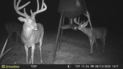 Image showing 7 th treeline 20 MP ZD Trail Camera Combo with 32GB SD Card, 8 AA Batteries and Spare Battery Tray