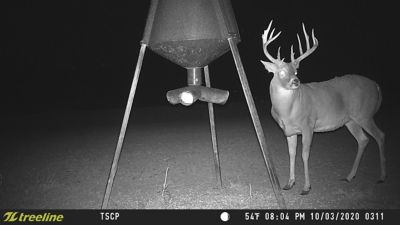 Image showing 8 th treeline 20 MP ZD Trail Camera Combo with 32GB SD Card, 8 AA Batteries and Spare Battery Tray