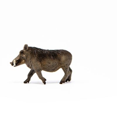 14843 Black/Brown SCHLEICH Wild Life Warthog Toy Figure 3 to 8 Years 