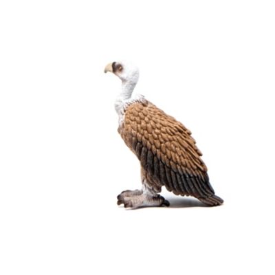 Image showing  Vulture Bird Toy Figurine