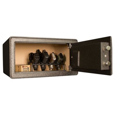 Image showing  1 Gun 0.91 cu. ft. Biometric Security Safe