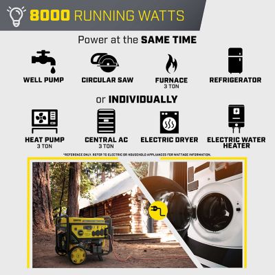 Image showing  10,000/8,000-Watt Dual-Fuel Home Backup Portable Generator, CO Shield, Electric Start