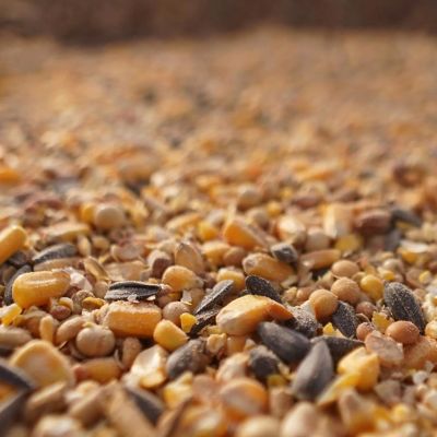 Image showing  Platinum Deer Blend Fortified with NITRO, 30 lb. Bag