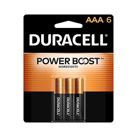 Duracell AAA Coppertop Alkaline Batteries, 6-Pack