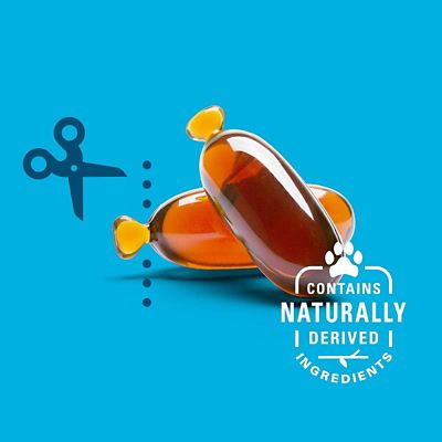 Image showing  Snip Tips for Small Dogs and Cats, 60 ct.