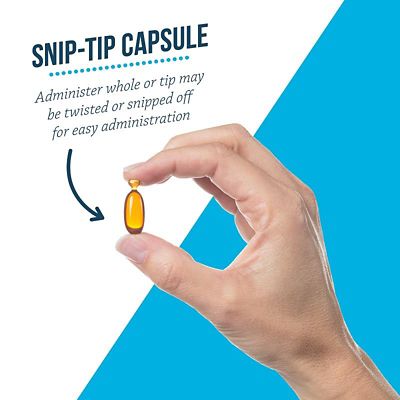 Image showing  Snip Tips for Small Dogs and Cats, 60 ct.