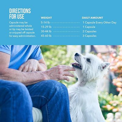 Image showing  Snip Tips for Small Dogs and Cats, 60 ct.