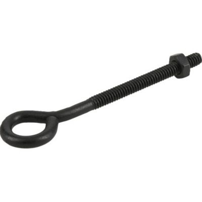 Image showing  1/4 in.-20.x 4 in. Black Coated Durasteel Eye Bolt with Nut