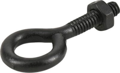 Image showing  1/4 in.-20 x 2 in. Black Coated Durasteel Eye Bolt with Nut
