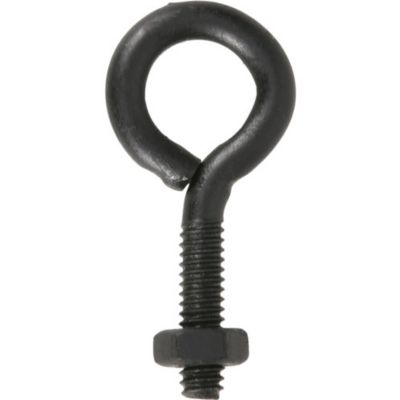 Image showing  1/4 in.-20 x 2 in. Black Coated Durasteel Eye Bolt with Nut