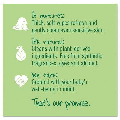 Image showing 5 th Seventh Generation Free and Clear Baby Wipes Refill, Unscented, 256 ct.