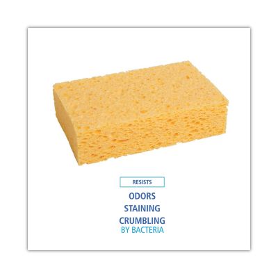 Image showing  Medium Cellulose Sponge, 3-2/3 x 6-2/25 in., Yellow, 24-Pack
