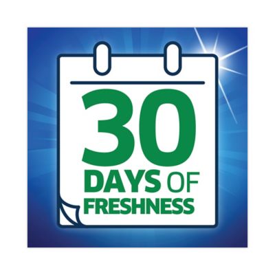 Image showing  Liquid Laundry Detergent, Mountain Breeze, 150 oz., 4 pc.