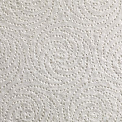 Image showing 8 th Georgia Pacific Blue Select Perforated Paper Towels, 8-4/5 x 11 in., White, 12 ct.
