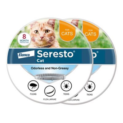 Seresto Cat Vet-Recommended Flea and Tick Treatment and Prevention Collar for Cats, 8 Months Protection, 2-Pack