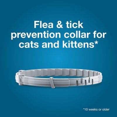Image showing  Vet-Recommended Flea and Tick Treatment/Prevention Collar for Cats, 8 Months Protection, 2-Pack