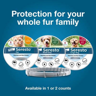 Image showing 9 th Seresto Vet-Recommended Flea and Tick Treatment/Prevention Collar for Cats, 8 Months Protection, 2 pk.