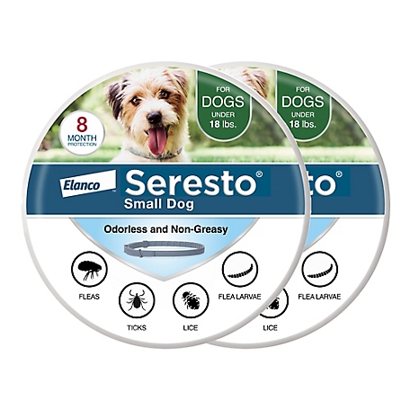 Seresto Small Dog Vet-Recommended Flea and Tick Treatment and Prevention Collar for Dogs Under 18 lb., 2-Pack