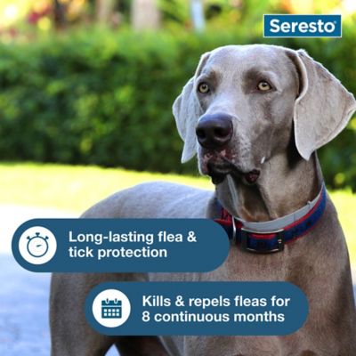 Image showing 5 th Seresto Vet-Recommended Flea and Tick Treatment/Prevention Collars for Large Dogs Over 18 lb., 2 pk.