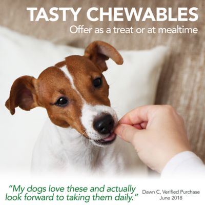 Image showing  Level 3 Advanced Hip and Joint 90 Tabs