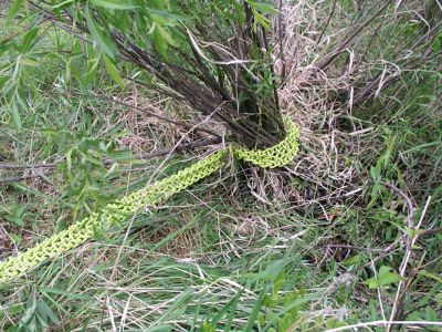 Image showing  Shrub/Clump Extreme Tree and Shrub Remover