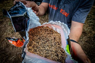 Image showing  Great 8 Deer Food Plot Blend, 8 lb.