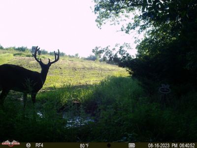 Image showing  Lick Magic Apple Flavor Deer Attractant, 23 lb.