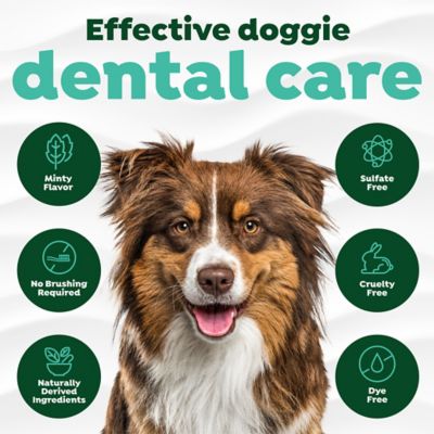 Image showing  Fresh Breath Oral Care Spray for Pets, 4 oz.