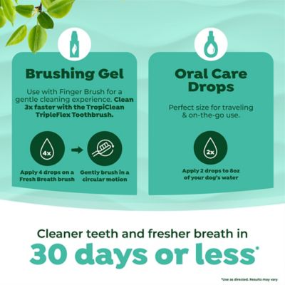 Image showing  Fresh Breath Total Care Kit for Large Dogs, 2 oz.
