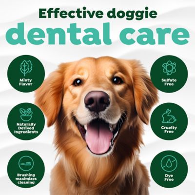 Image showing  Fresh Breath Total Care Kit for Large Dogs, 2 oz.