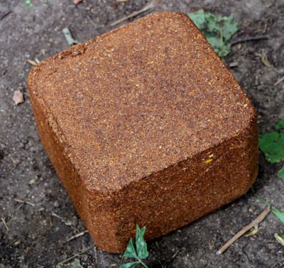 Image showing  NY Crush Sugar Beet Block Deer Attractant, 20 lb.