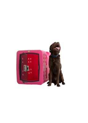 Image showing  G3 Framed Door Kennel, Medium, Pink