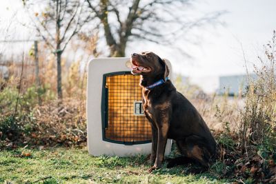 Image showing  G3 Framed Dog Kennel, Sandstone