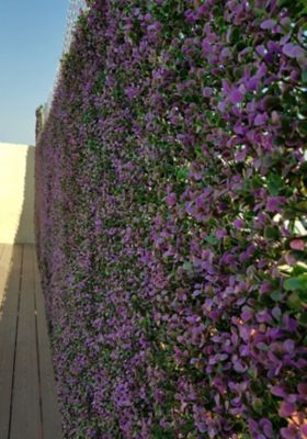 Image showing  19.68 in. x 19.68 in. Artificial Foliage Lavender Wall Panels, 4 pc.