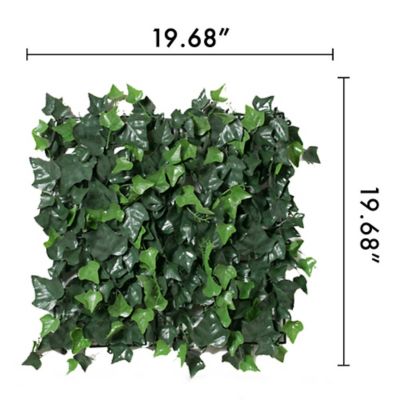 Image showing  19.68 in. x 19.68 in. Artificial Foliage Ivy Style Wall Panels, 4 pc.